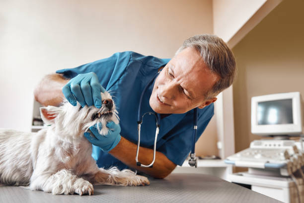 Best Pediatric Emergency Dentist in Deer Park, OH